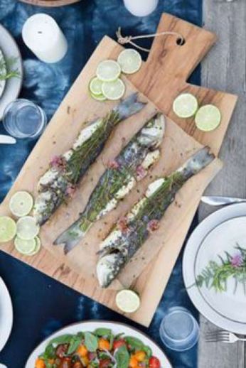 PEZ TOMILLO - Grupo MpuntoR