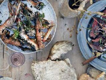 PEZ TOMILLO - Grupo MpuntoR